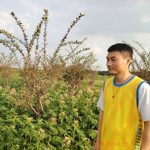 37岁岁广东单身帅哥 - 周口吉缘网